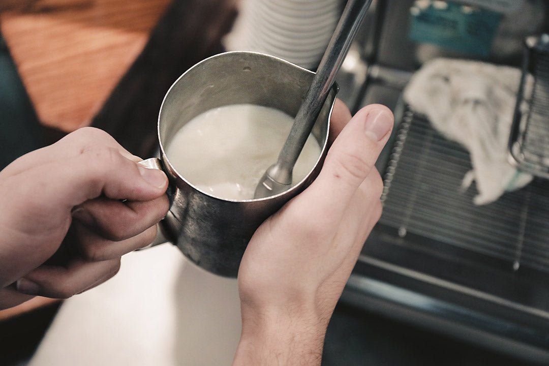 How to : Steam Milk – Delanys Coffee House